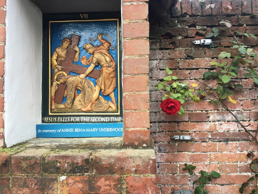 rose by the station of the cross